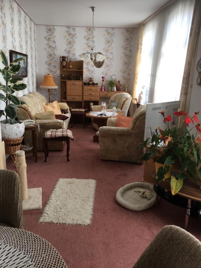 Ferienwohnung Bunte Stadt An Der Elde Grabow  ภายนอก รูปภาพ